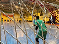 شمسایی: با تعهد کامل برای ایران میجنگیم